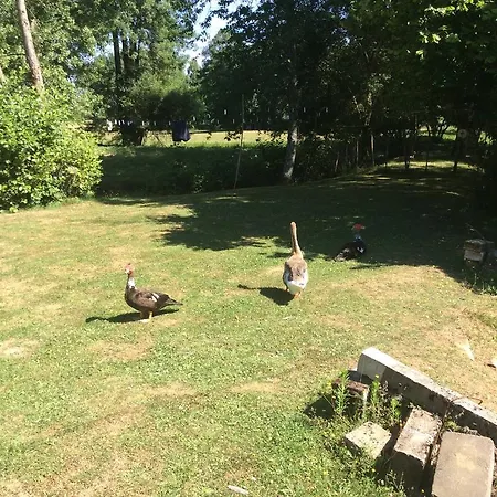 B&B Le Moulin Fargan