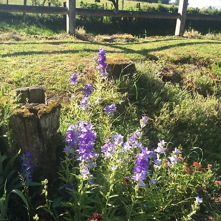 Bed & Breakfast Le Moulin Fargan Pressac