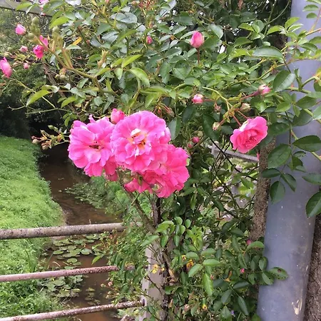 Bed & Breakfast Le Moulin Fargan Pressac