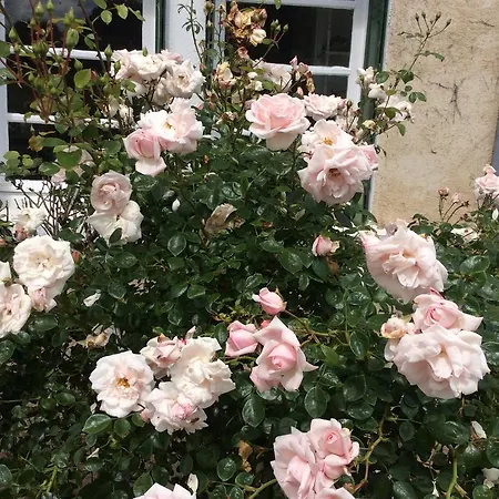Bed & Breakfast Le Moulin Fargan *