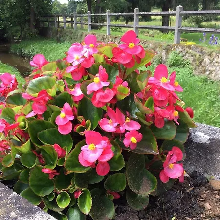 Bed & Breakfast Le Moulin Fargan